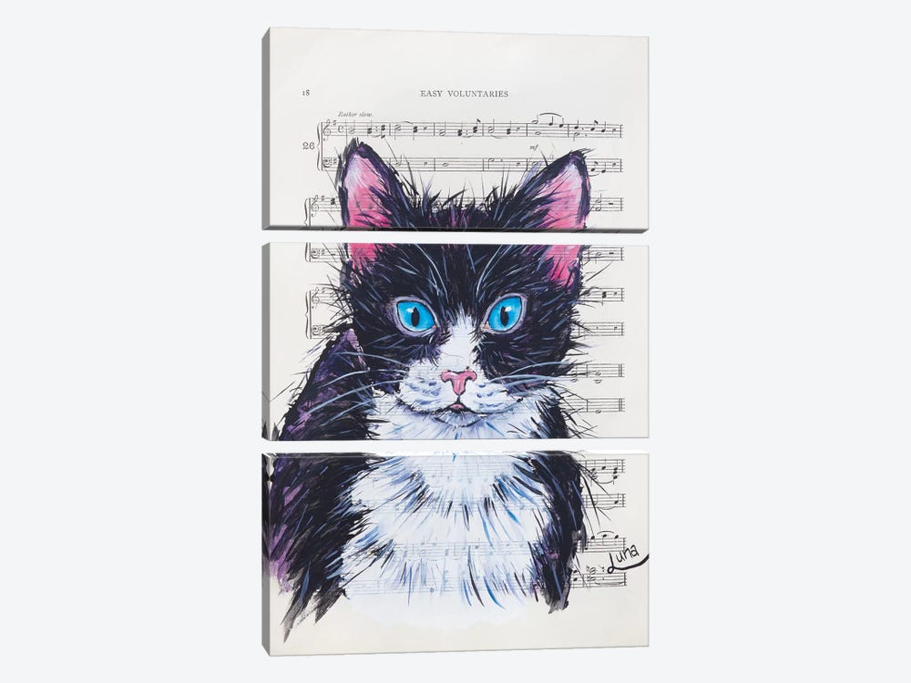 Meow by Luna Vermeulen 3-piece Canvas Wall Art
