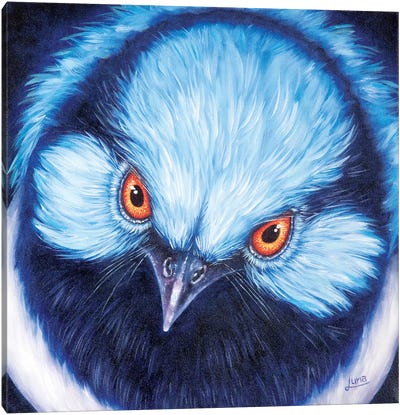 Blue Steel Canvas Art Print - Luna Vermeulen