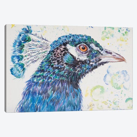P Is For Peacock Canvas Print #LVE81} by Luna Vermeulen Canvas Art