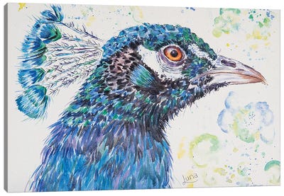 P Is For Peacock Canvas Art Print - Luna Vermeulen