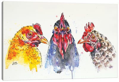 Peep Show Canvas Art Print - Chicken & Rooster Art