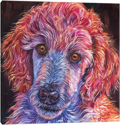 Puppy Love Canvas Art Print - Luna Vermeulen