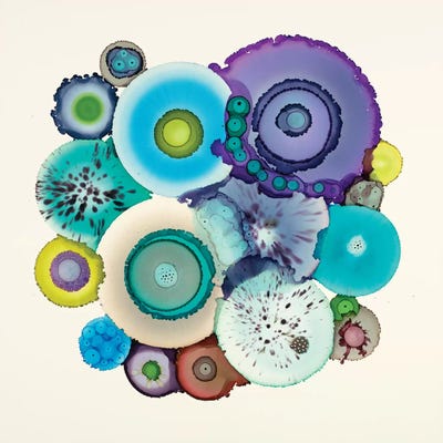 Stuck by Laura Van Horne canvas print