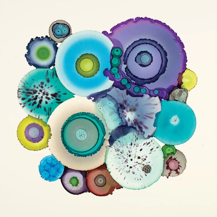 Stuck by Laura Van Horne wall art