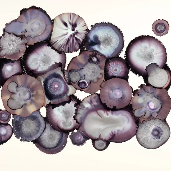 Laura Van Horne: Eggplant by Laura Van Horne