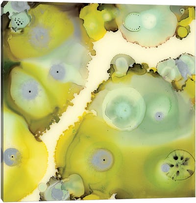 Lime Reef II Canvas Art Print