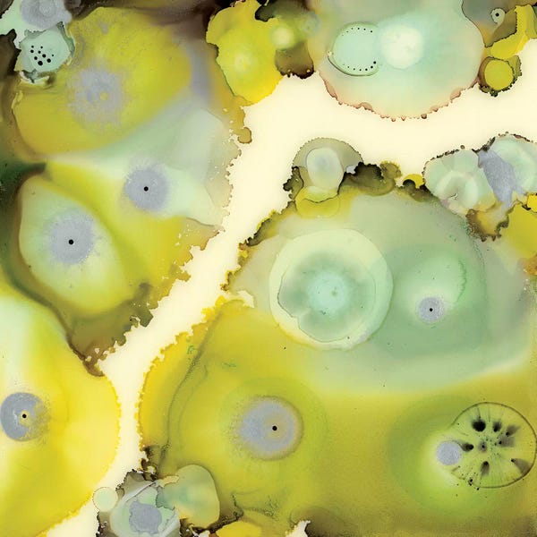 Lime Reef II