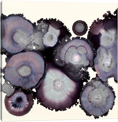 Stormy Canvas Art Print - Agate, Geode & Mineral Art