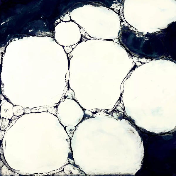 Laura Van Horne: The Bubble II by Laura Van Horne