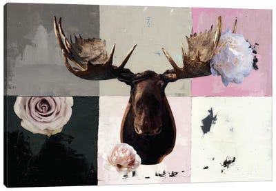 Pink Moose Canvas Art Print - Moose Art