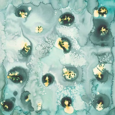 Pool by Laura Van Horne canvas print