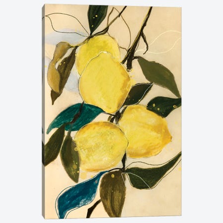 Lemon Study I Canvas Print #LVI62} by Leigh Viner Canvas Artwork