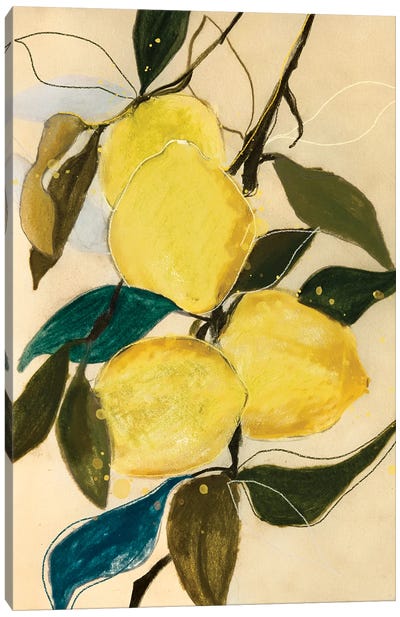 Lemon Study I Canvas Art Print - Leigh Viner