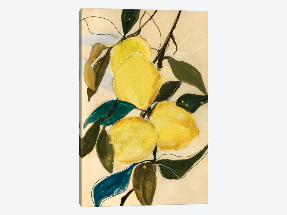 Lemon Study I by Leigh Viner 1-piece Canvas Art