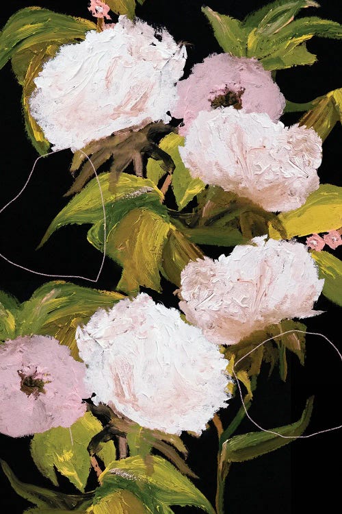 Peonies II