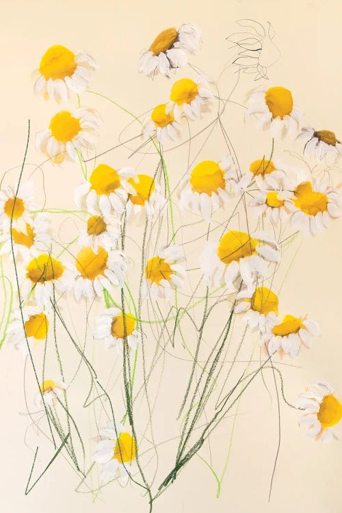 Chamomile I