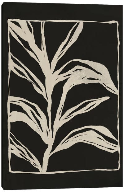 Garden Canvas Art Print - Black & White Patterns