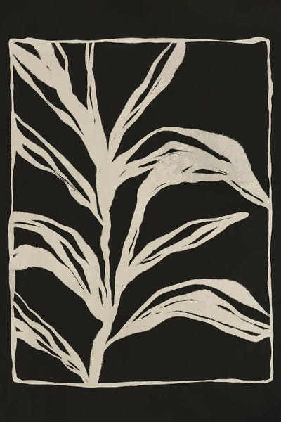 Black & White Florals: Garden by LivinLi