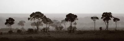 Jorge Llovet