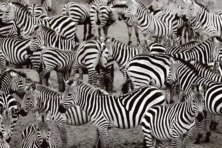 Zebra Abstraction