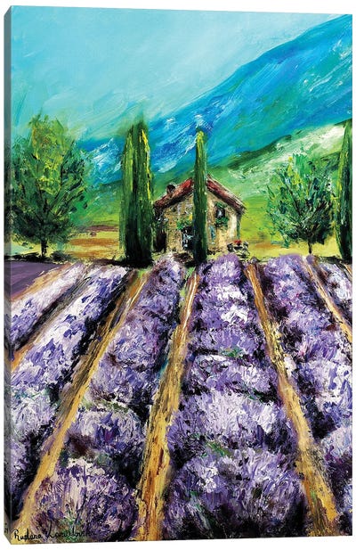 Lavender Fields, France Canvas Art Print - Lavender Art