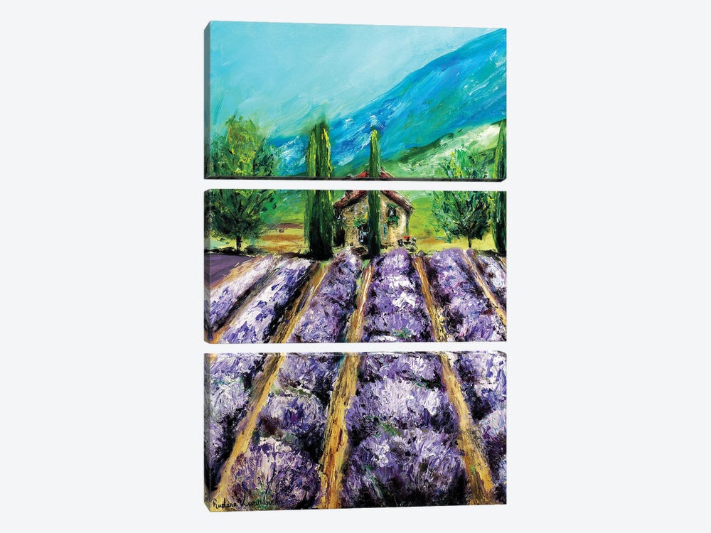 Lavender Fields, France by Ruslana Levandovska 3-piece Canvas Art Print