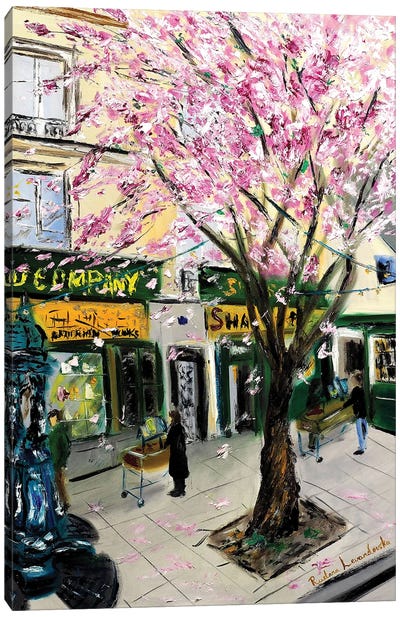 Cherry Blossoms At Shakespeare And Co, Paris Canvas Art Print - Ruslana Levandovska