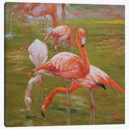 Flamingo I Canvas Print #LVY1} by Chuck Larivey Canvas Art Print