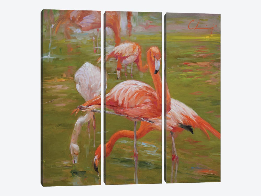 Flamingo I by Chuck Larivey 3-piece Canvas Print