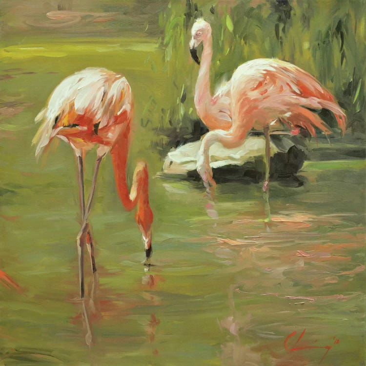 Flamingo II