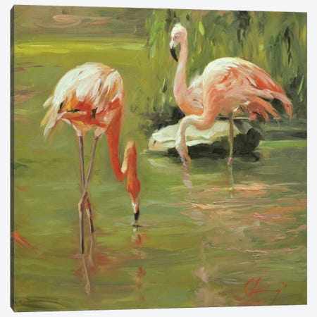 Flamingo II Canvas Print #LVY2} by Chuck Larivey Canvas Art Print