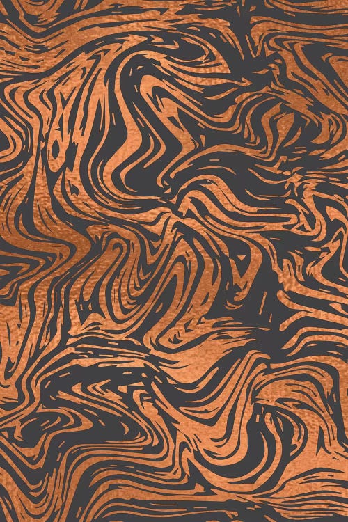 Tiger Stripes by Lisa Whitebutton wall art