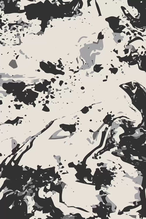 White Marble by Lisa Whitebutton canvas print