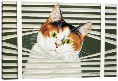 Sassy Lara Canvas Art Print - Calico Cat Art