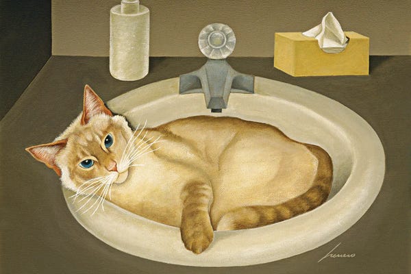 A Purr-fect Day: Snowflake Mayotte by Lowell Herrero