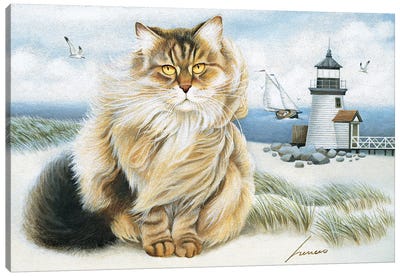 Squeeky Kanights Canvas Art Print - Lighthouse Art