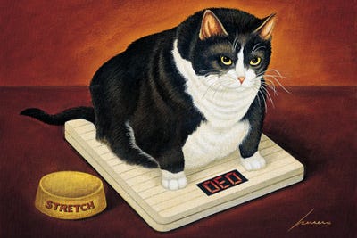 Stretch Kelley by Lowell Herrero art print