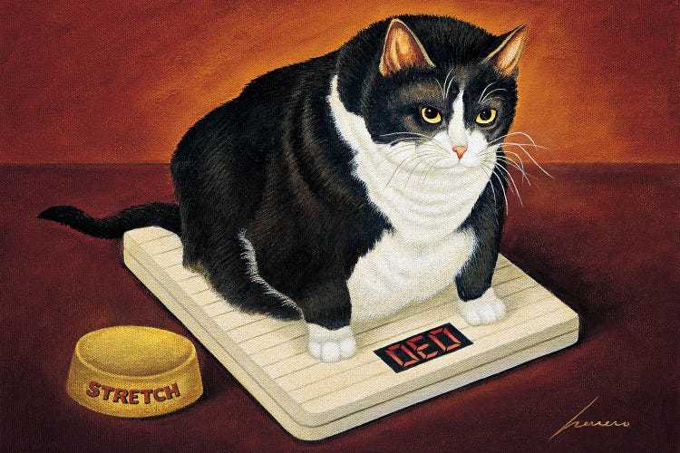 Stretch Kelley by Lowell Herrero wall art