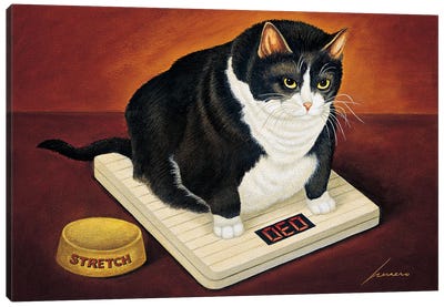 Stretch Kelley Canvas Art Print - Tuxedo Cat Art