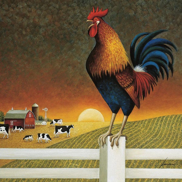Chickens & Roosters: Sunrise by Lowell Herrero