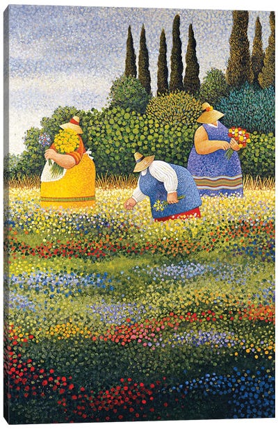 Wildflowers Canvas Art Print - Cypress Tree Art