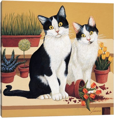 Willie & Neuschler Robertson Canvas Art Print - Tuxedo Cat Art