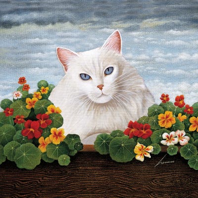 Chooey Barnes Wash by Lowell Herrero canvas print