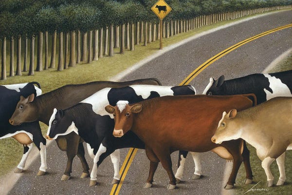 Cow Crossing