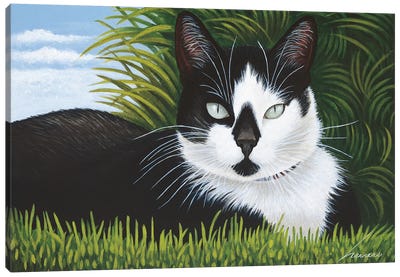 Freddy Martin Canvas Art Print - Tuxedo Cat Art
