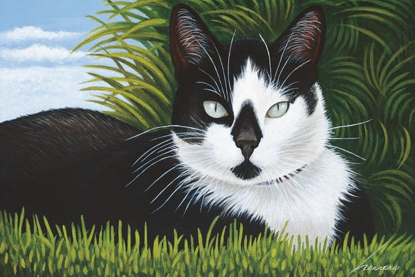 Tuxedo Cats: Freddy Martin by Lowell Herrero