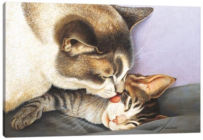Jennifer & Rocket Molyneaux Canvas Art Print - Tabby Cat Art