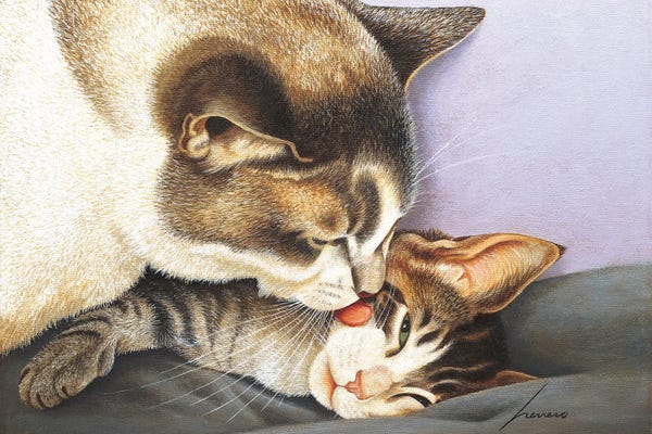 Kittens: Jennifer & Rocket Molyneaux by Lowell Herrero