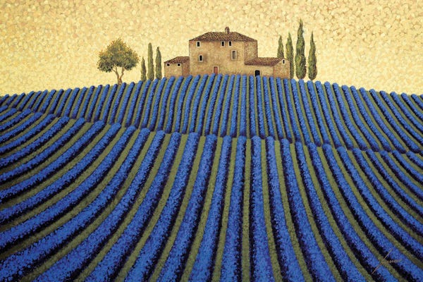 Lavender Landscape
