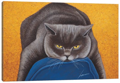 Max Hiller Canvas Art Print - British Shorthair Cat Art